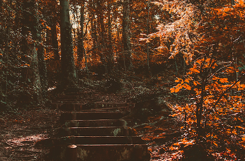 Fall Hiking Stairs Cropped Smaller