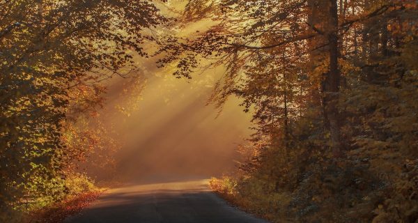 Sunrise on the road